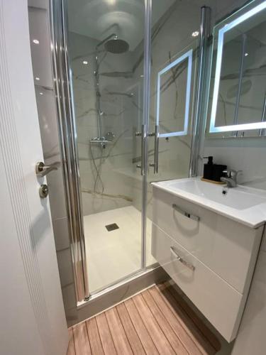 une salle de bain avec une douche, un lavabo et un miroir dans l'établissement Nino & Silva, à Épinal