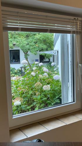 a window with a view of a garden of flowers at OASE im grünen Hinterhof, EG, Ruhe, Terrasse, Carport, free PayTV, Kaffee&Tee, Fahrräder in Duisburg