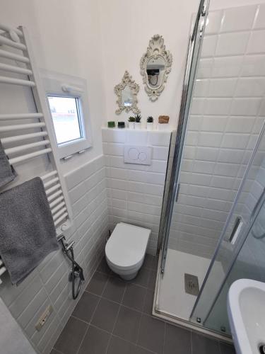 a white bathroom with a toilet and a shower at La casina sul fiume in Prato