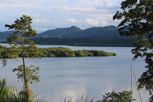 a view of a large body of water with trees at Nathylodge in Bocas del Toro