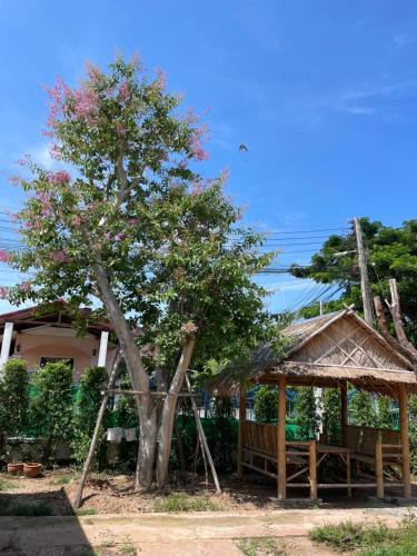 Zahrada ubytování Piyaporn Guesthouse 3