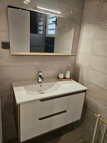 a bathroom with a white sink and a mirror at LODGE INDIGO - Bungalow & RDC indépendant proche aéroport in Sainte-Marie