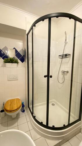 a bathroom with a shower with a toilet and a sink at Center underground studio in Bratislava