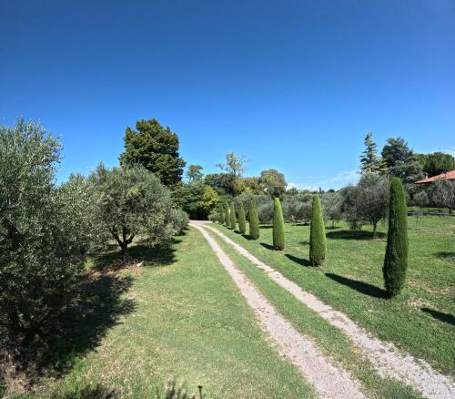 Paisaje cerca de este agroturismo