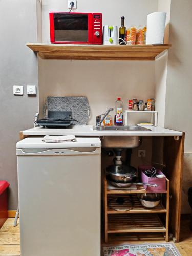 une petite cuisine avec un évier et un micro-ondes dans l'établissement Chaleureux studio cœur St Jean Bellecour, à Lyon
