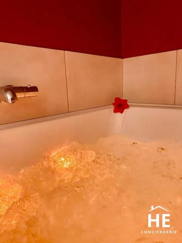 Fotografie z fotogalerie ubytování Hibiscus - Balnéo - Netflix & Chill v destinaci Montargis