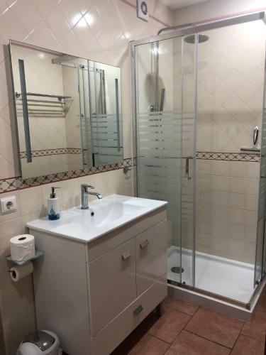 a bathroom with a sink and a shower at ALOJAMENTO SAUDADE in Gafanha da Boa Hora
