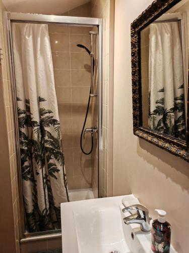 La salle de bains est pourvue d'un lavabo et d'une douche avec rideau de douche. dans l'établissement Chaleureux studio cœur St Jean Bellecour, à Lyon