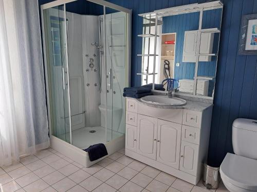 une salle de bain avec une douche, un lavabo et des toilettes dans l'établissement maison de vacances bord de mer, à Camaret-sur-Mer