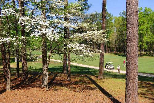 a golf course with a white flowering tree and a golf cart at Luxury 1 BR near Oak Mt State Park in Pelham