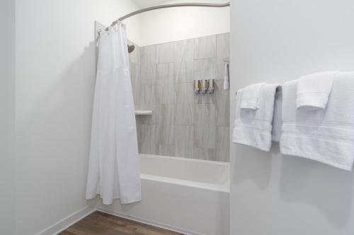 Salle de bains dans l'établissement Luxe 2 BR Apt Oak Mt St Park Lots of Amenities