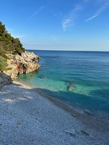 Fragrances of Istria - La Lavanda