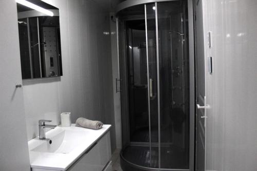 une salle de bain avec une douche en verre et un lavabo dans l'établissement Chez Patrick et Dominique, à Saint Pierre en Faucigny