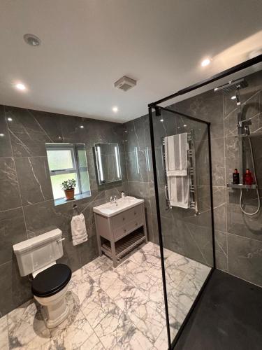 a bathroom with a shower and a toilet and a sink at The Cottage, Walworth Demesne in Ballykelly