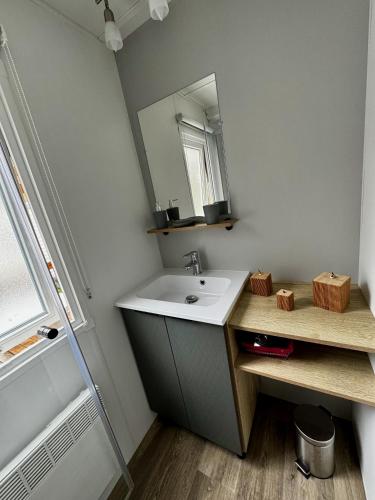 a bathroom with a sink and a mirror at Mobile-home 3 chambres chaleureux et calme in Seillac