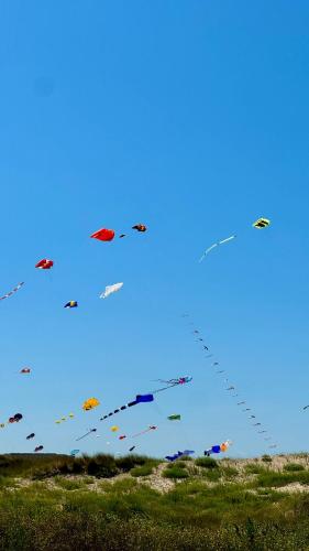 a group of kites flying in the blue sky at House W - North Sea Stays in De Haan