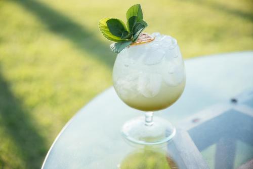 a drink in a glass with a green leaf on top at Hurricane Jeri in Jericoacoara