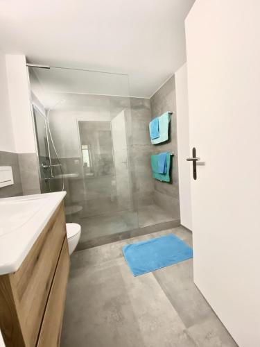 a bathroom with a shower and a blue rug at Laax-Relax in Laax