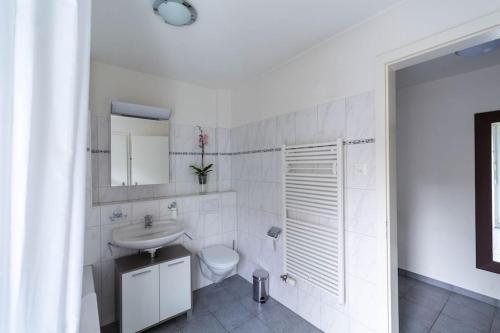 Nice 1 BR flat city center near lake - D7