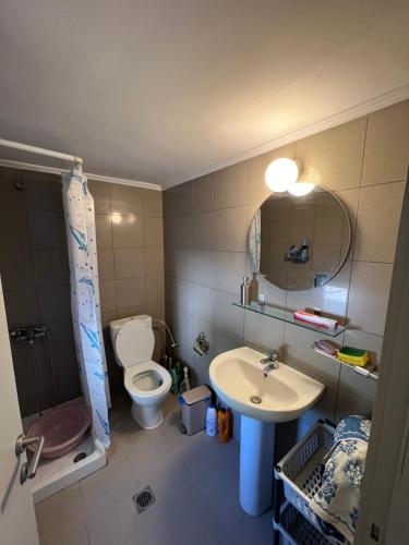 une petite salle de bain avec toilettes et lavabo dans l'établissement Pejić Guest House, à Paliouri