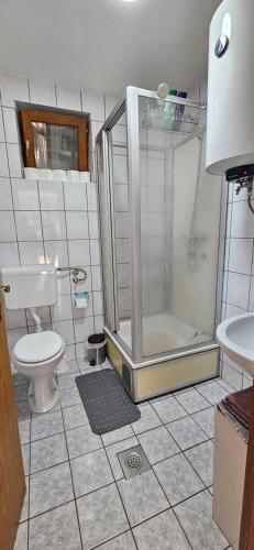 a bathroom with a shower and a toilet at Holiday house with a big garden and free parking in Sikirevci