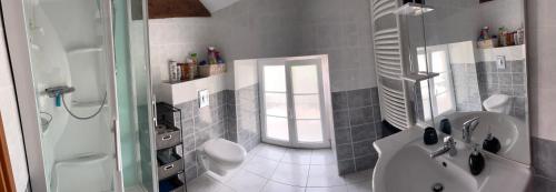 a bathroom with a shower and a sink and a toilet at La Maison Majorelle in Bar-sur-Aube