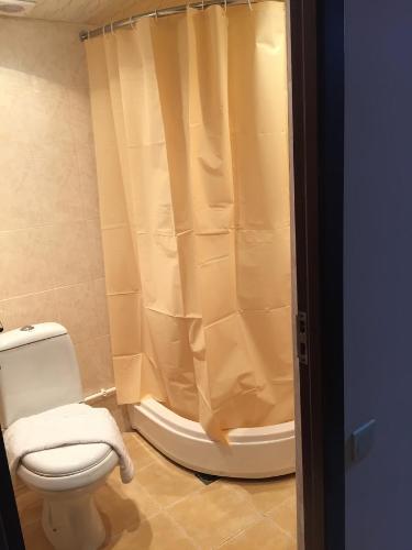 a bathroom with a toilet and a shower at Anga Yerevan Apartments in Yerevan