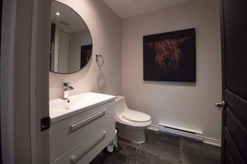 een badkamer met een toilet, een wastafel en een spiegel bij Condo cottage-style Tremblant in Saint-Jovite