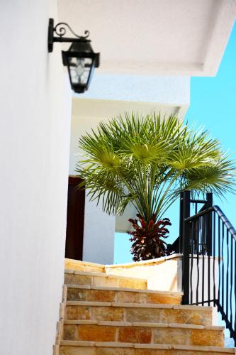 Gallery image of Apartments Bazar in Ulcinj