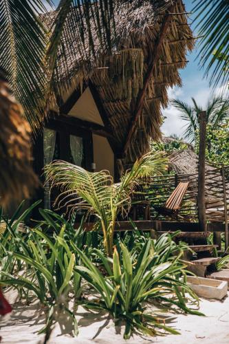 Jardín al aire libre en Ikal Tulum Hotel