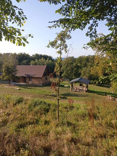 Dom Wypoczynkowy Cieklinka