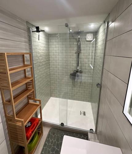une douche avec une porte vitrée dans une salle de bain dans l'établissement Le Briand Appartement 4étoiles Nancy Thermal Cosy avec Terrasse Wifi, à Laxou