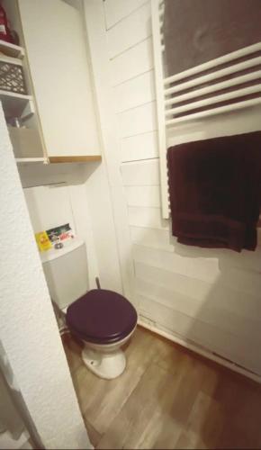 La salle de bains est pourvue de toilettes et d'un couvercle violet. dans l'établissement Appartement avec grande terrasse, à Saint-Cyprien