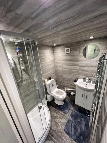 a bathroom with a shower and a toilet and a sink at Cozy cabin independent ensuite in Guildford