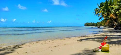 a sandy beach with palm trees and the ocean at La VILLA BORAHA 300m2 PROPRIÉTÉ ENTIERE en bord de plage PISCINE PRIVEE Cuisine TV Wifi in Sainte Marie