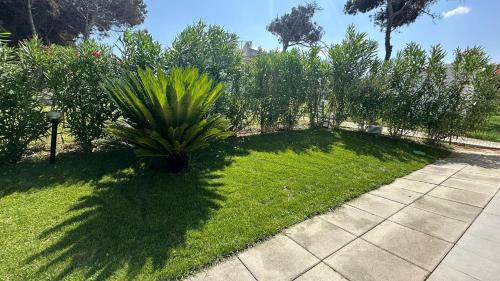 a palm tree sitting in the middle of a yard at Magnifique villa neuve en bord de mer in Sassari