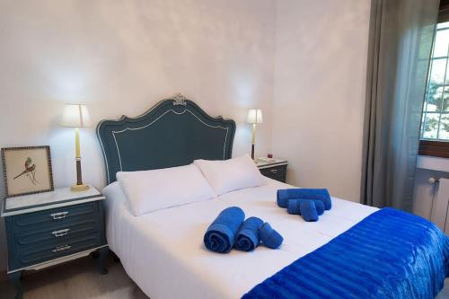 ein Schlafzimmer mit einem Bett mit blauen Kissen darauf in der Unterkunft Preciosa casa rural in Manzanares el Real