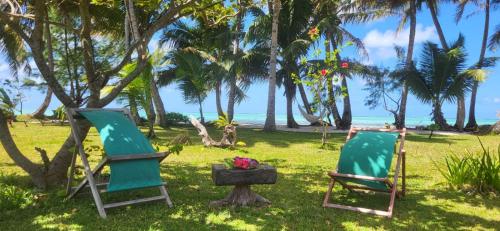 two chairs in the grass next to the beach at La VILLA BORAHA 300m2 PROPRIÉTÉ ENTIERE en bord de plage PISCINE PRIVEE Cuisine TV Wifi in Sainte Marie