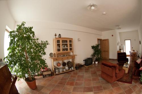 a large living room with a couch and a chair at Agritur Renetta in Tassullo