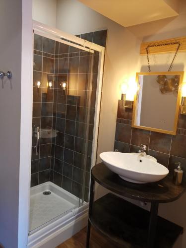 une salle de bain avec un lavabo et une douche dans l'établissement Le Belvédère St Gimer, à Carcassonne