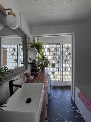 une cuisine avec un évier et une grande fenêtre dans l'établissement Appartement lumineux et calme, à Anglet