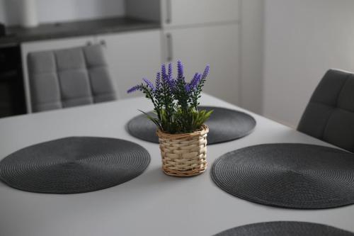 a table with black mats and a vase with purple flowers at Camere de inchiriat Adyden in Arbore