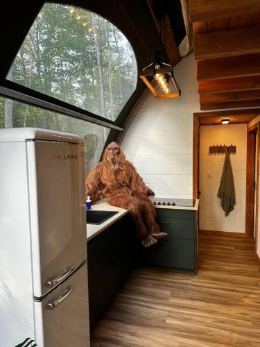 a kitchen with a statue of a monkey sitting on a counter at Sunken Escapes Glamping Unit #1 in New Minas