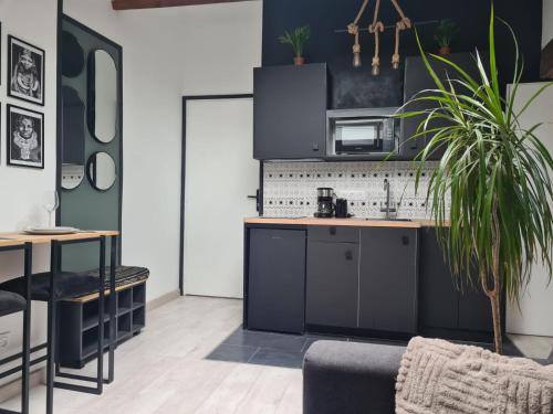 une cuisine avec des armoires noires et une plante dans l'établissement Charmant mini loft atypique proche paris 13, à Ivry-sur-Seine