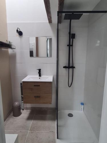 une salle de bain avec douche et lavabo dans l'établissement Charmant mini loft atypique proche paris 13, à Ivry-sur-Seine