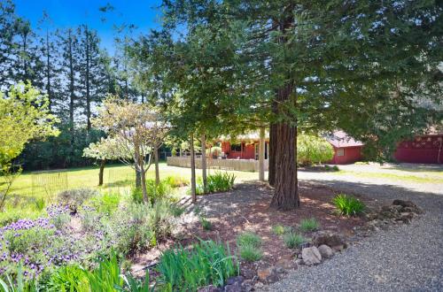 Κήπος έξω από το Craftsman Style Cabin In The Heart Of Sonoma- Includes Wine Tasting Passport