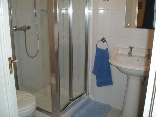 a bathroom with a shower and a toilet and a sink at The Jays in Bryansford