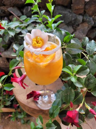 Minuman di Pousada Suçuarana