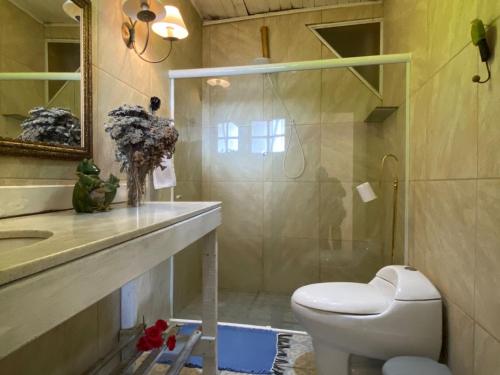 ein Badezimmer mit Toilette, Waschbecken und Spiegel in der Unterkunft Pousada Villa Provence in Petrópolis
