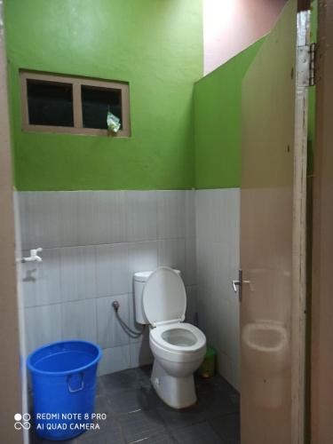 a bathroom with a toilet with green walls and a window at Homestay Nirvana in Dieng